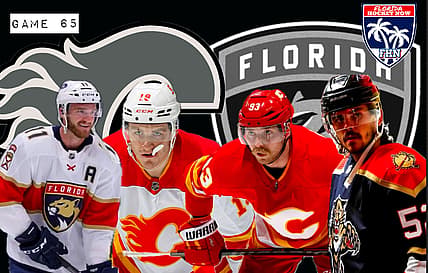 Panthers flames