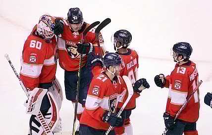 Panthers Stars Dallas Florida