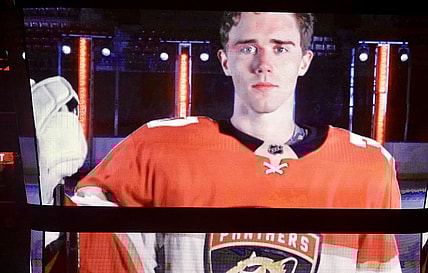 Panthers lightning spencer knight