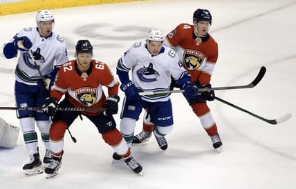 Florida panthers