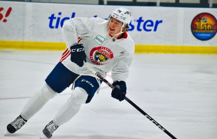 Florida panthers