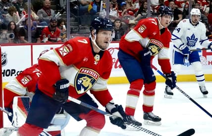 Florida panthers