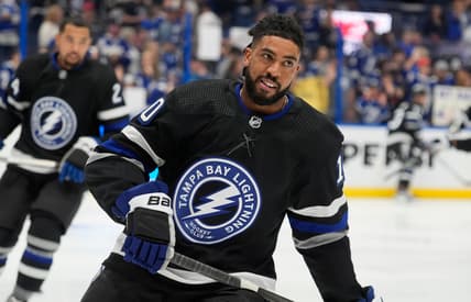 Duclair panthers