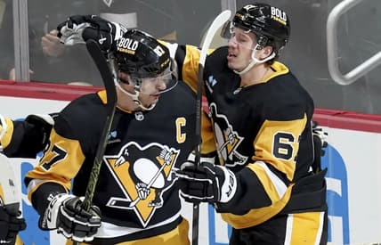 Penguins panthers