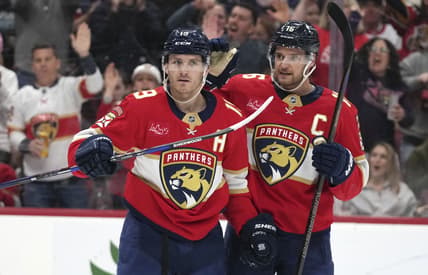 Florida panthers