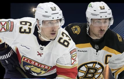 Bruins panthers