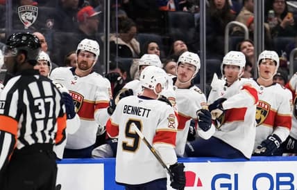 Florida panthers