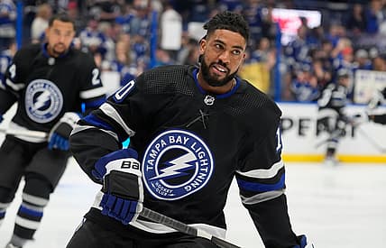 Duclair panthers
