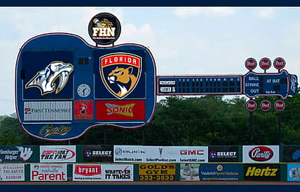Florida panthers