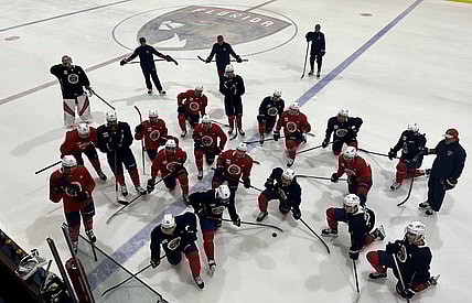 Florida roster panthers