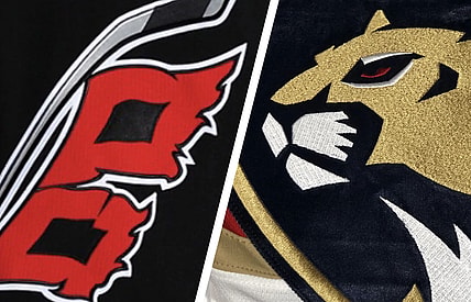 Florida panthers