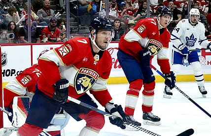 Florida panthers