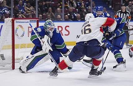 Florida panthers