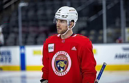 Florida panthers