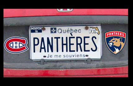 Panthers canadiens