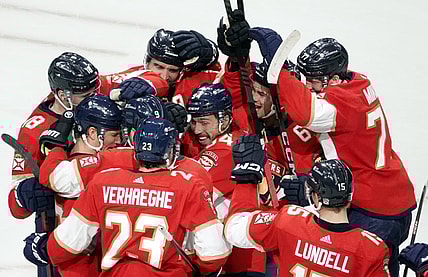 Florida panthers