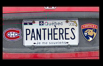 Panthers canadiens