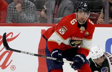 Florida panthers