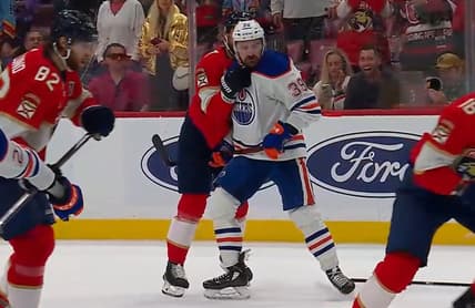 Florida panthers