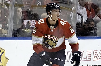 Daily fantasy hockey lineup