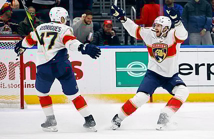 Florida panthers