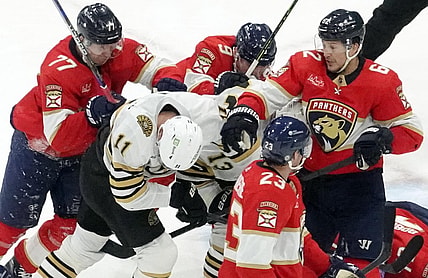 Panthers bruins