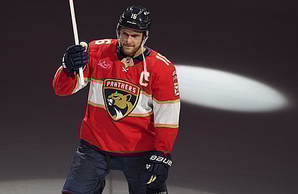 Florida panthers