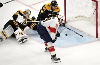 Panthers bruins