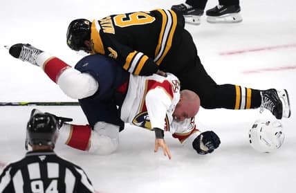 Panthers bruins