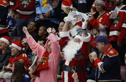 Florida panthers