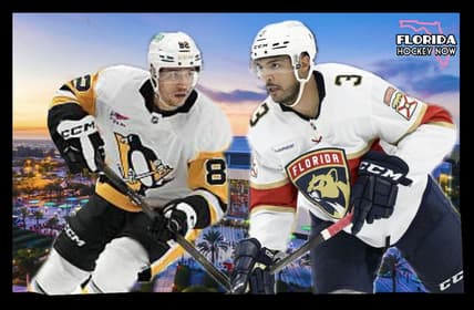 Panthers penguins