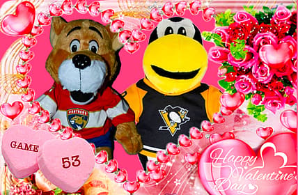 Panthers penguins