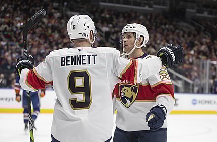 Florida panthers