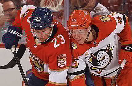 Florida panthers