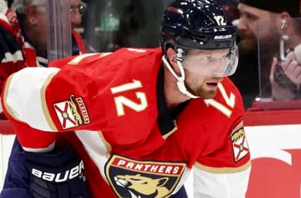 Staal hurricanes panthers