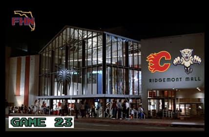 Panthers flames
