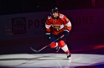 Florida panthers