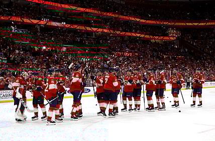 Florida panthers