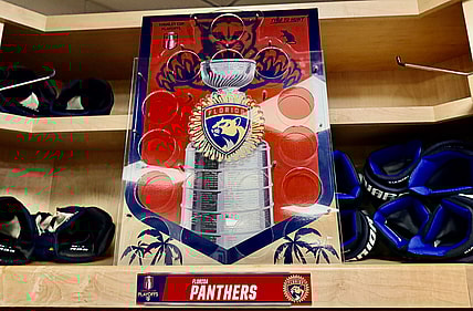 Florida panthers