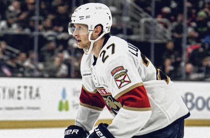 Florida panthers