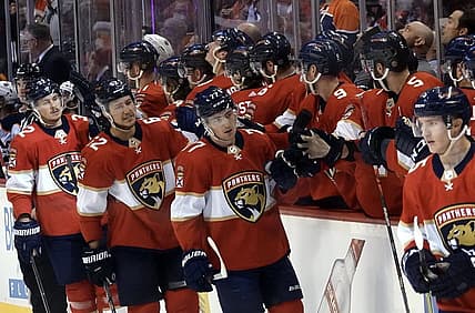 Florida panthers