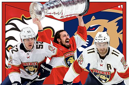 Panthers flames
