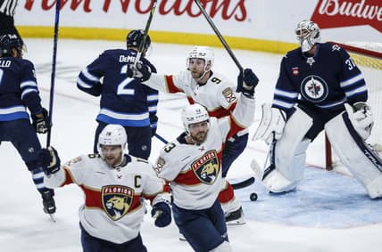 Florida panthers