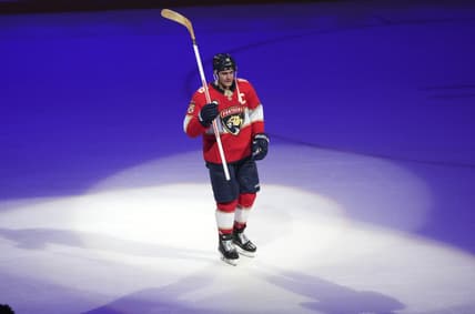 Florida panthers