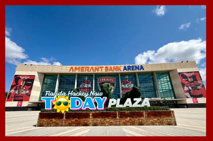 Florida panthers