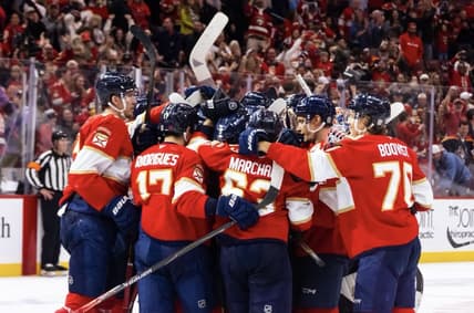 Florida panthers