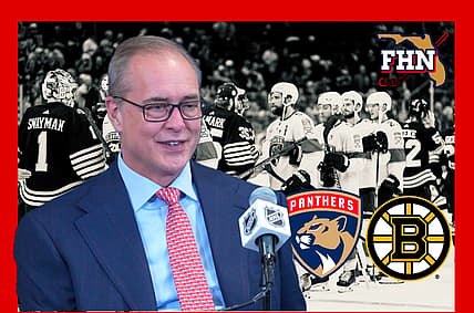 Florida panthers
