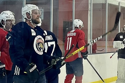 Kevin connauton panthers