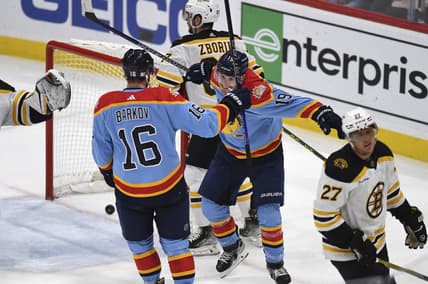 Florida panthers