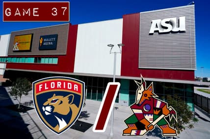 Panthers coyotes